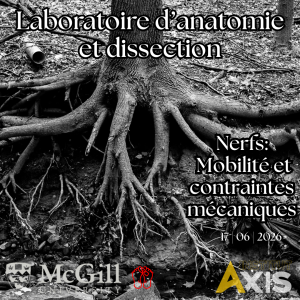 Laboratoire d’anatomie et dissection - Nerfs Périphériques, glissements et contraintes mécaniques - Mercredi 17 juin 2026 en PM - Université McGill - Montréal - Formateur: Dr Gabriel Venne D.O.