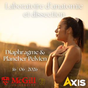 Laboratoire d’anatomie et dissection - Plancher Pelvien & Diaphragme - Mardi 16 juin 2026 - Université McGill - Montréal - Formateur: Dr Gabriel Venne D.O.